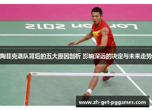 陶菲克退队背后的五大原因剖析 影响深远的决定与未来走势 陶菲克退队背后的五大原因剖析 影响深远的决定与未来走势
